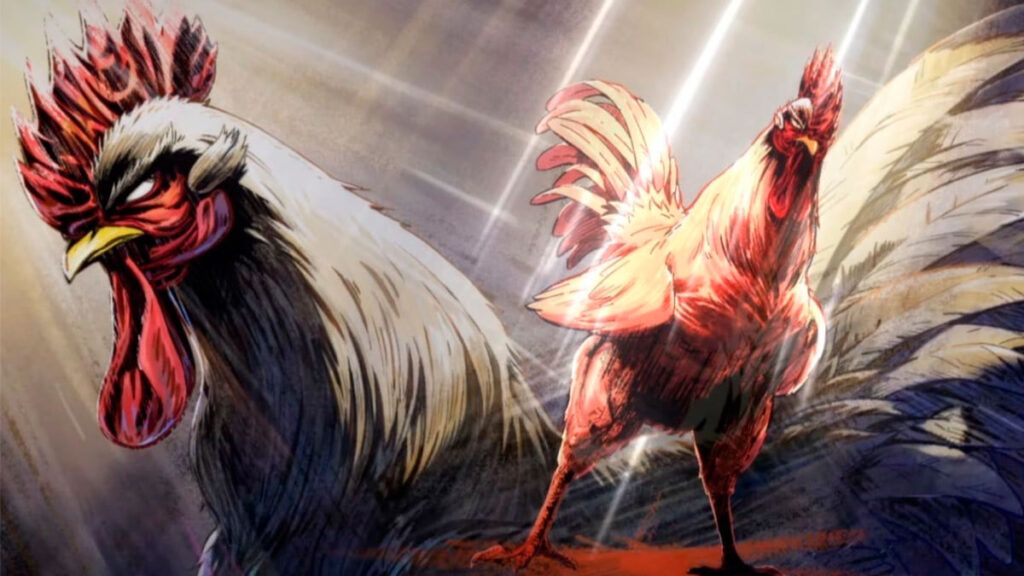 مقاتل الديك